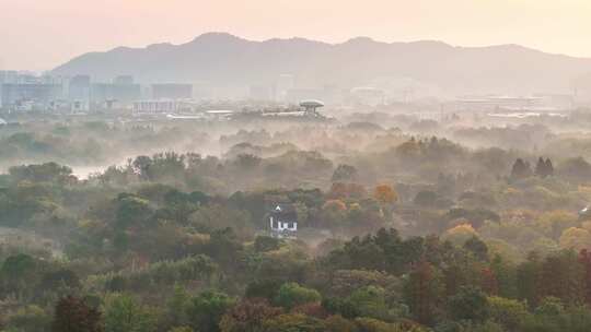 杭州秋天 西溪湿地 手摇船 湿地博物馆