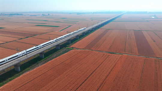 火车驶过麦田  土地 高铁 丰收 秋收 麦子