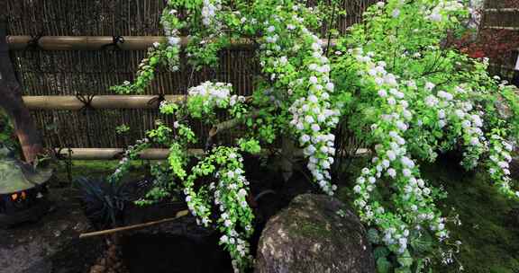 高档小区私家花园水景绿植园艺