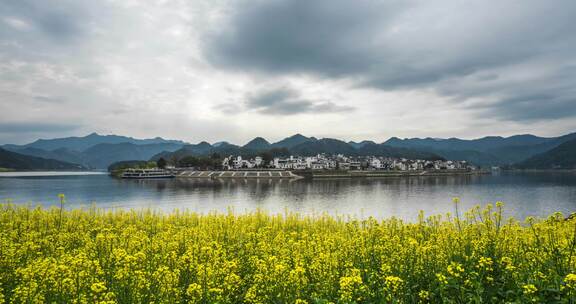 【8k】安徽江边古村落油菜花延时