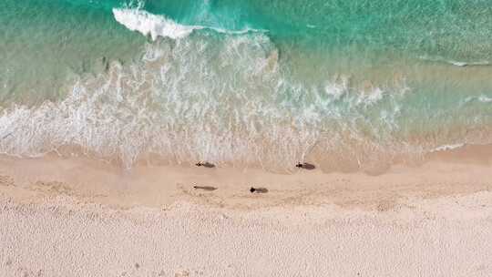 科西嘉岛，度假，海滩，海洋