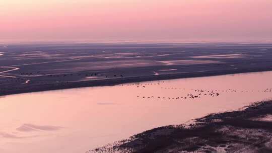 黄河入海口湿地日出