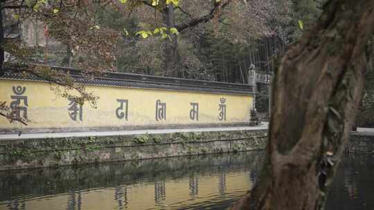 浙江绍兴新昌大佛寺