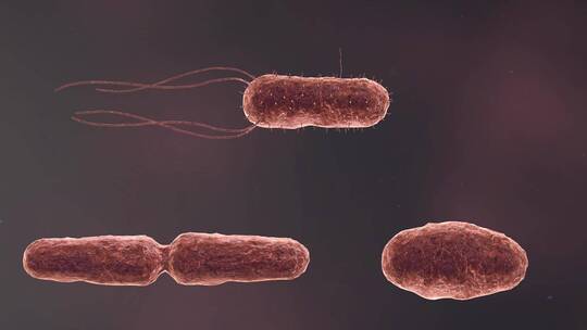 医学病原体病毒病原体病菌细菌医学三维动画