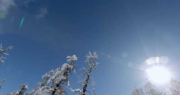 高清实拍瓦屋山冬天雪景雪山森林