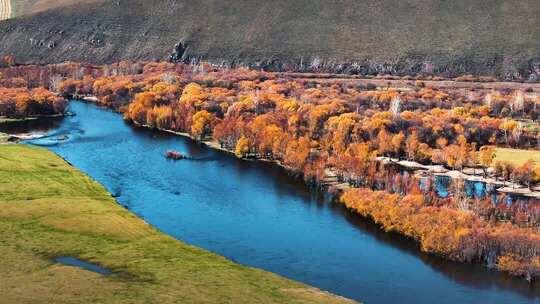 秋季河流森林自然风光