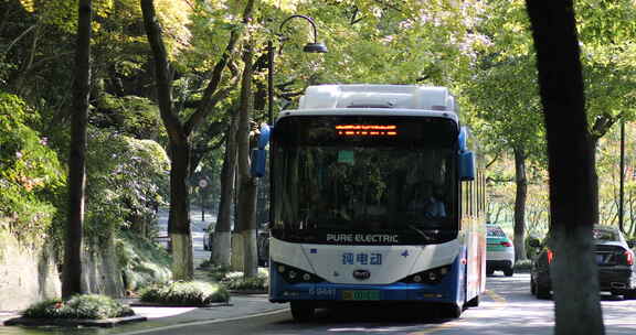 马路2091