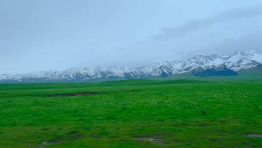 新疆那拉提一望无际的草原雪山绝美风光视频素材模板下载