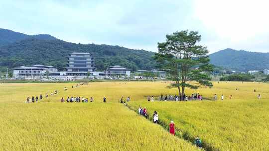 中国广东省广州市从化区广州国家版本馆