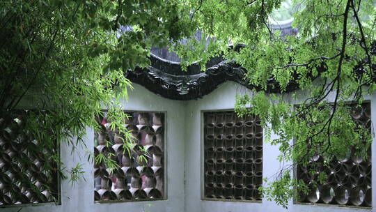 雨天的园林 西园寺 苏州园林