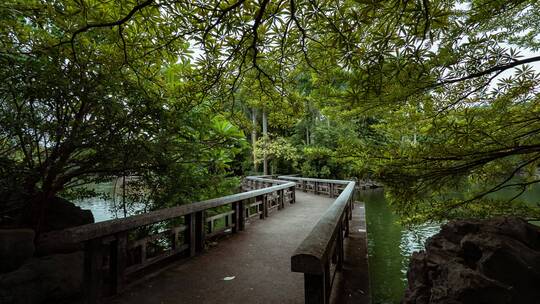 广西南宁青秀山天池