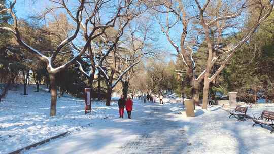 北京冬季北海公园雪景游玩视频素材模板下载