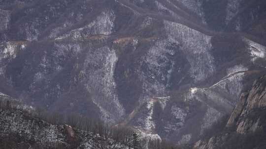 冬天 冬季 寒冷 凄凉 冷漠