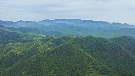 航拍避暑之地浙江湖州莫干山自然风光