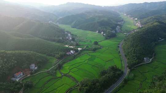 乡村振兴 美丽乡村