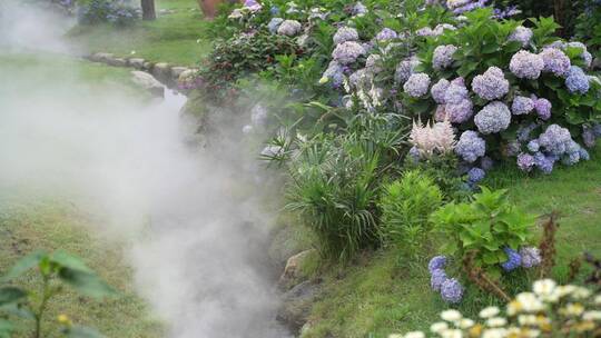 绣球花花语植物园