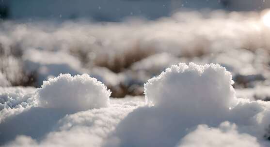 冬天雪地特写雪天风景下雪风光唯美冬季雪景