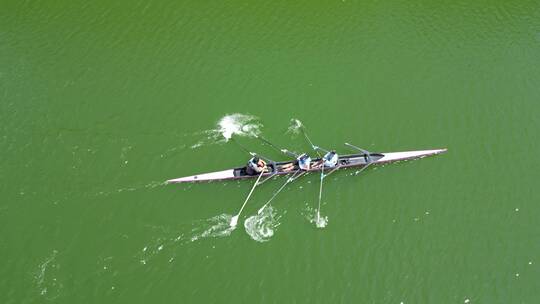 深圳南山区大沙河视频素材模板下载