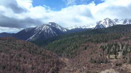 航拍云南香格里拉雪山森林草原 自然风光