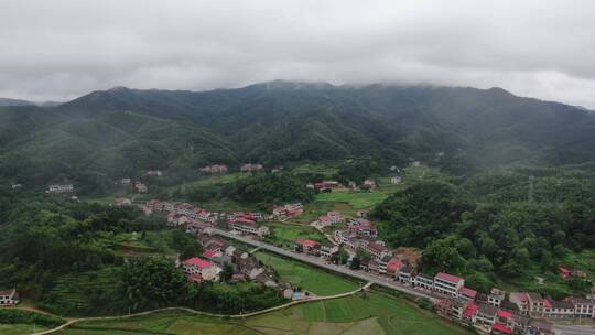 自然风光雨后森林迷雾航拍