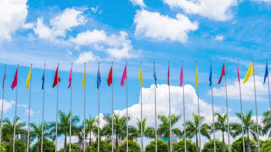 南宁国际会展中心广场的一排旗杆彩旗飘飘