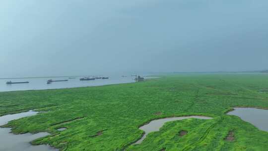 鄱阳湖风景航拍湖泊湿地公园草地河流风光