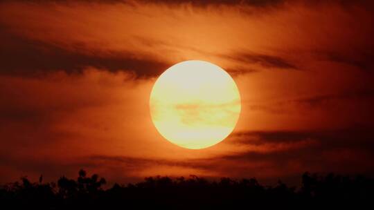 4k实拍特写夕阳西下