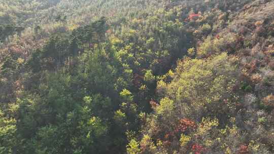 辽阳龙石景区山林秋季风光