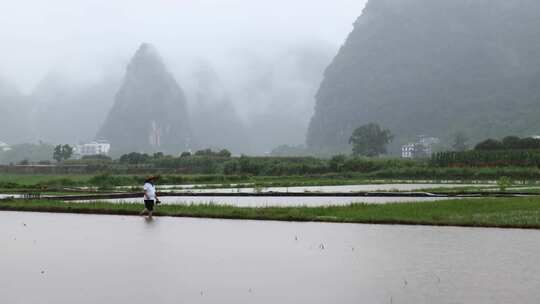 下雨天农民行走在田埂上视频素材模板下载