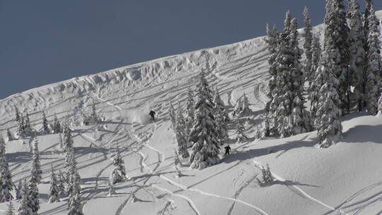 一个滑雪者在穷乡僻壤的积雪中滑雪