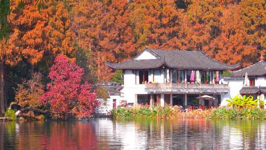 杭州西湖秋天建筑风景