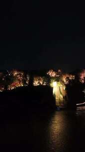 竖版航拍四川乐山大佛夜景