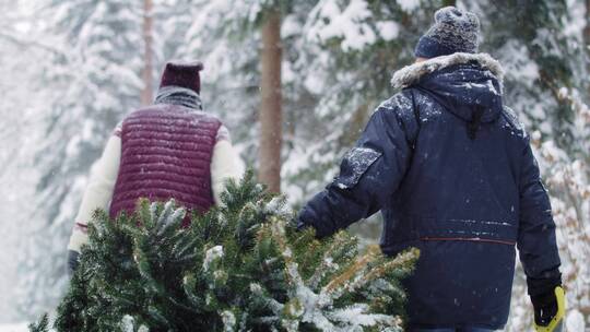 在雪地里用拖车拖着圣诞树前进的人