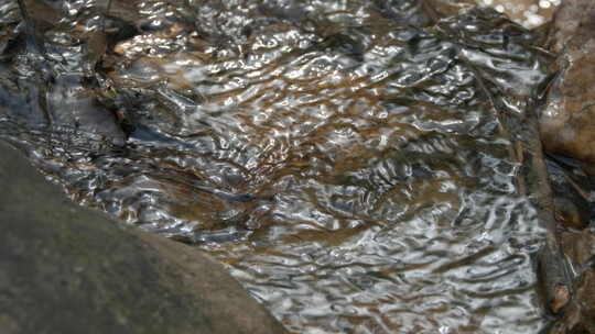 秋天清澈湍急山泉水潺潺流水