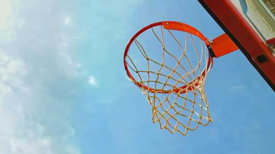 守护着我的光12