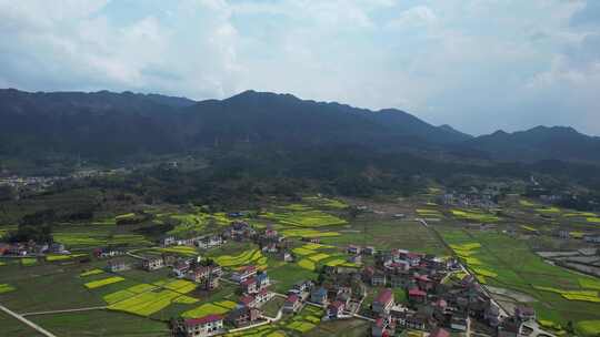 航拍湖南春天乡村农业盛开的油菜花田园风景