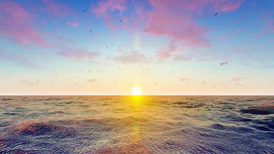 早晨海面日出海鸥飞翔延时摄影