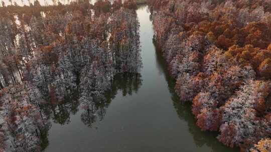 航拍南京六合池杉湖秋景