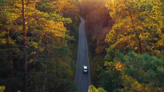 汽车行驶在秋天森林的道路