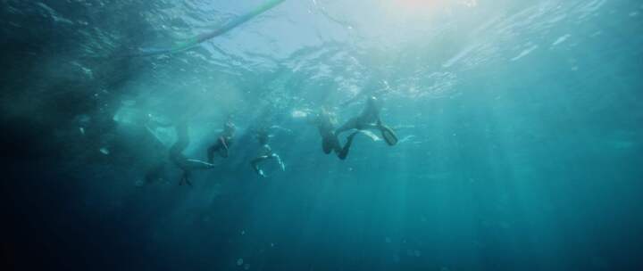 海洋，浮潜，海，潜水员