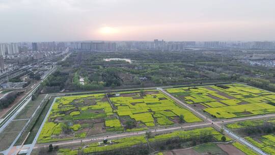 高清航拍城市边春天油菜花田野空镜