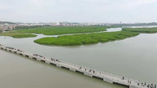 福建泉州洛阳桥万安桥泉州洛江区航拍