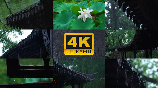 禅意雨天下雨屋檐荷花窗沿雨滴宣传片高清在线视频素材下载