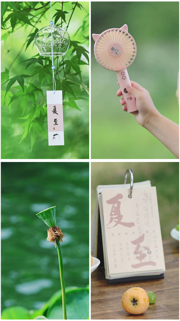 竖屏 夏至 夏至节气夏日盛夏夏天空镜素材