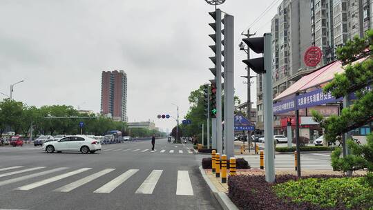 城市道路建筑春天花草树木商铺店面马路汽车