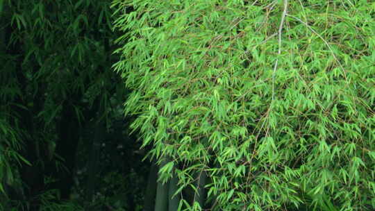 武汉东湖磨山景区