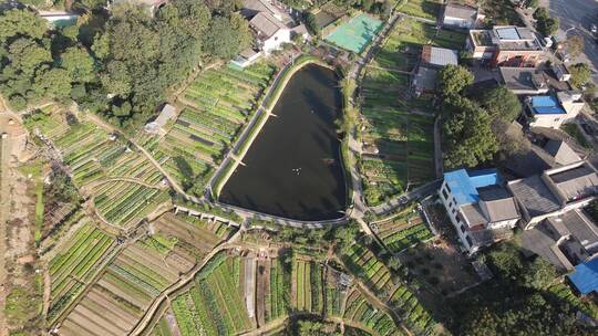 航拍湖南长沙望城区老城区