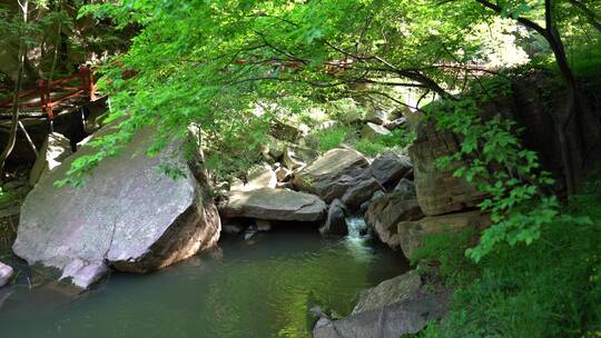 洛阳龙潭大峡谷旅游生态森林河流景点