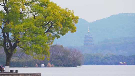 杭州西湖孤山路风景