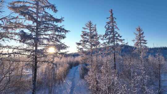 航拍林海雪原雾凇4k合集